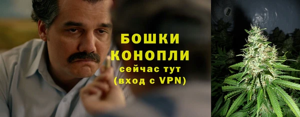 дурь Верхний Тагил