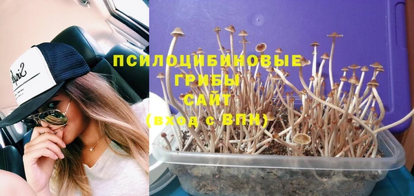PSILOCYBIN Волоколамск