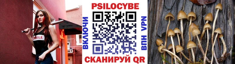 Галлюциногенные грибы мицелий  Гусь-Хрустальный 